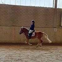 Turnier in Aufroth 1