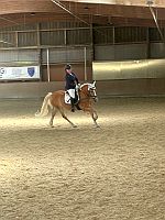 WBO Turnier in Furth 4