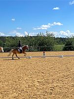 Turnier in Höhenberg 2