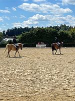 Turnier Burglengenfeld 6
