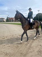 Interne Turnier Rennbahn 24 5