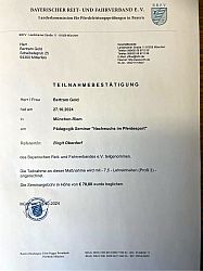 Pädagogik Seminar 2024 