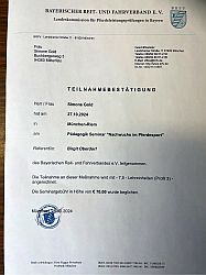 Pädagogik Seminar 2024 1