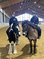 Ponykaderlehrgang