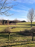 Arbeitsdienst 1